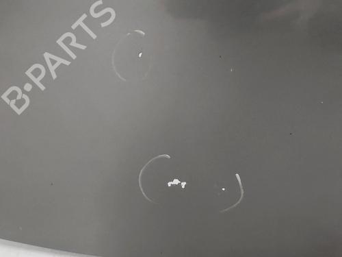 Tailgate FIAT PUNTO (188_) 1.2 60 (188.030, .050, .130, .150, .230, .250) | BP31974601C6 