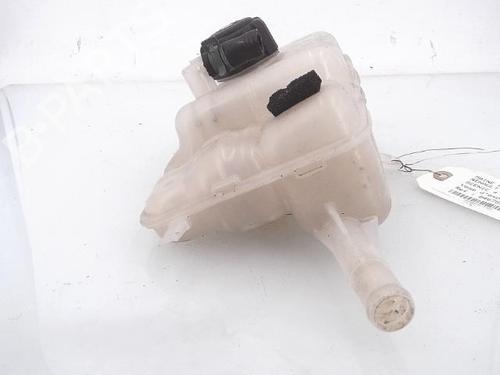 Expansion tank RENAULT SCÉNIC IV (J9_) 1.2 TCe 130 | BP25369043C120