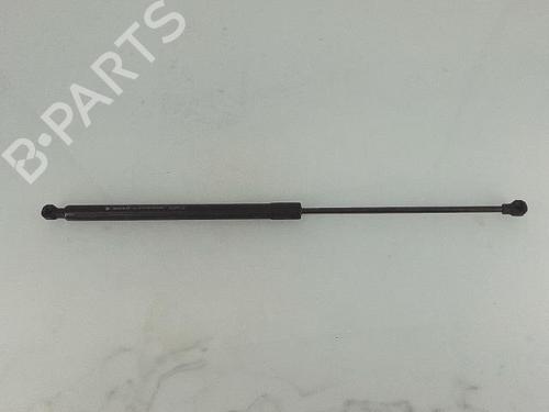 Used Hood lift support DACIA SANDERO II TCe 90 (B8M1, B8MA, B8AC) (90 hp) 27453565