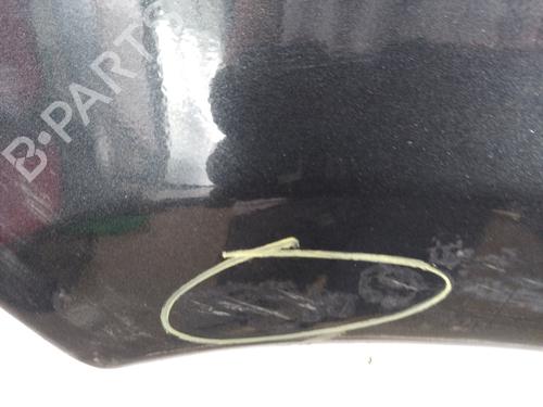 Left front fenders CITROËN XSARA PICASSO (N68) 1.6 HDi | BP26617429C41 