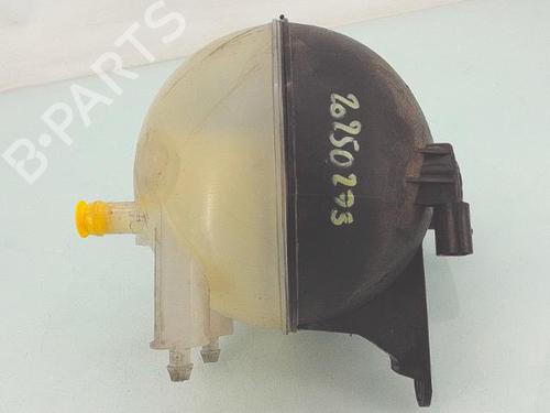 Expansion tank MERCEDES-BENZ A-CLASS (W169) A 180 CDI (169.007, 169.307) | BP29848160C120