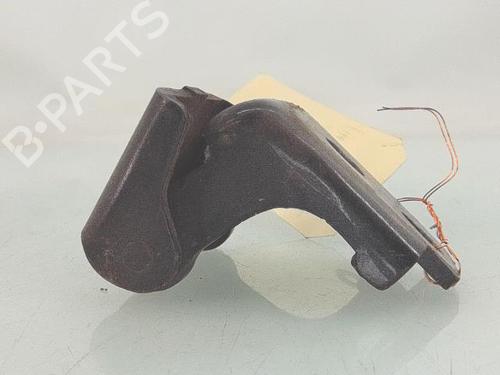 Hinge/Door check strap RENAULT MEGANE III Hatchback (BZ0/1_, B3_) 1.9 dCi (BZ0N, BZ0J) | BP30128533C146
