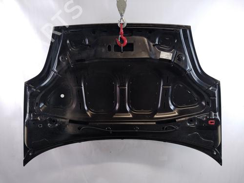 hood-fiat-punto-evo-199_-2008-33308820 main image