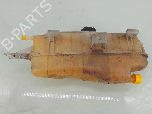 Expansion tank RENAULT CLIO III (BR0/1, CR0/1) 1.2 16V (BR02, BR0J, BR11, CR02, CR0J, CR11) | BP29178570C120 