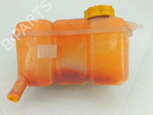 Expansion tank FORD FIESTA V (JH_, JD_) 1.3 | BP29848138C120