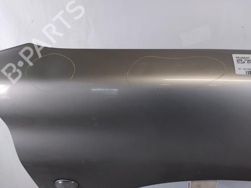 Right front fenders PEUGEOT 206 Hatchback (2A/C) 1.4 i | BP25917473C42 