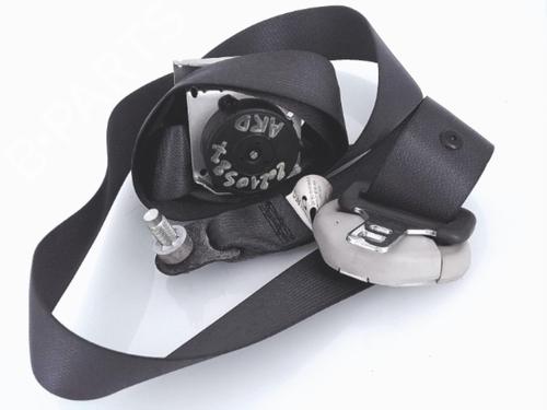 Used Rear right belt tensioner RENAULT KOLEOS I (HY_) 2.0 dCi (HY0K) (150 hp) 25355472