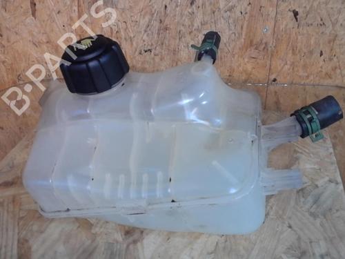 expansion-tank-renault-megane-iii-hatchback-bz01_-b3_-2008-25365282 main image