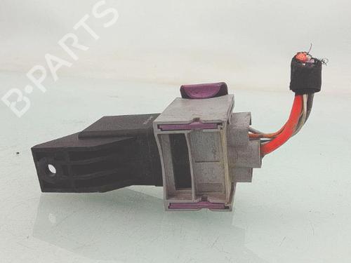 Electronic module RENAULT SCÉNIC III (JZ0/1_) 1.6 dCi (JZ00, JZ12) | BP30462415M83 