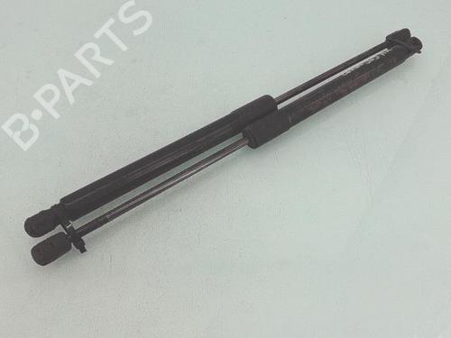 Used Tailgate lift support FIAT 500X (334_) 1.6 D Multijet (334AXA1B, 334AXA11) (120 hp) 30577970
