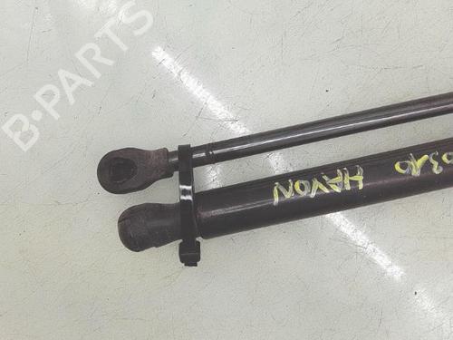 Used Tailgate lift support Tailgate lift support 38731949 38731949