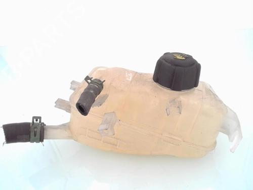 Expansion tank RENAULT SCÉNIC III (JZ0/1_) 1.5 dCi | BP25355565C120 