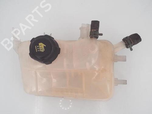 Used Expansion tank RENAULT GRAND SCÉNIC III (JZ0/1_) 1.2 TCe (JZ16) (132 hp) 25353907