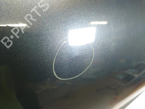 Right front door RENAULT MEGANE III Hatchback (BZ0/1_, B3_) 1.9 dCi (BZ0N, BZ0J) | BP30128554C3