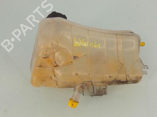 Expansion tank RENAULT KANGOO Express (FW0/1_) 1.5 dCi 90 (FW0G, FW05, FW08, FW11) | BP25701193C120 