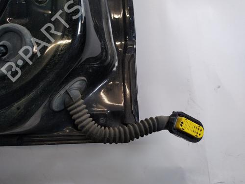 Left rear door RENAULT SCÉNIC III (JZ0/1_) 1.5 dCi | BP25368737C4 