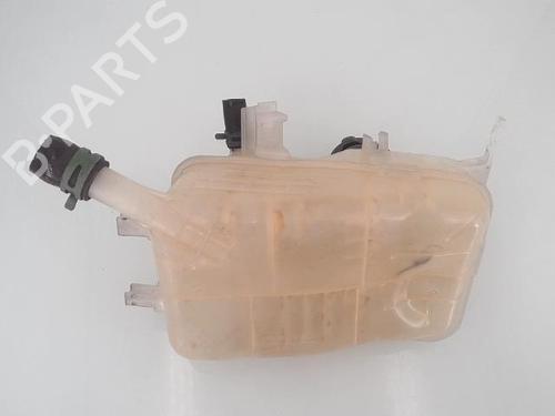 Expansion tank RENAULT GRAND SCÉNIC III (JZ0/1_) 1.2 TCe (JZ16) | BP25353907C120