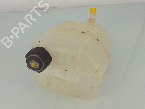 Used Expansion tank RENAULT KANGOO Express (FW0/1_) Z.E. (FW0Z, FW1Z) (60 hp) 25371026