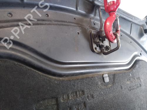 Hood SEAT IBIZA IV (6J5, 6P1) 1.6 TDI | BP25371098C1 