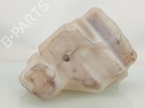 Windscreen washer tank MERCEDES-BENZ A-CLASS (W169) A 180 CDI (169.007, 169.307) | BP29848165C113 