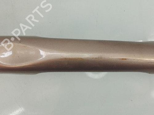 Rear left exterior door handle RENAULT SCÉNIC III (JZ0/1_) 1.5 dCi (JZ02, JZ0R) | BP29387232C130 