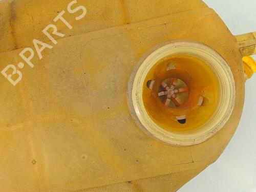 expansion-tank-renault-safrane-ii-b54_-1996-1997-1998-1999-2000-25362760 main image