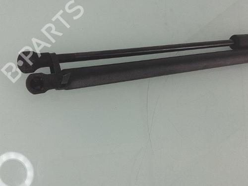 hood-lift-support-renault-vel-satis-bj0_-2002-25356361 main image