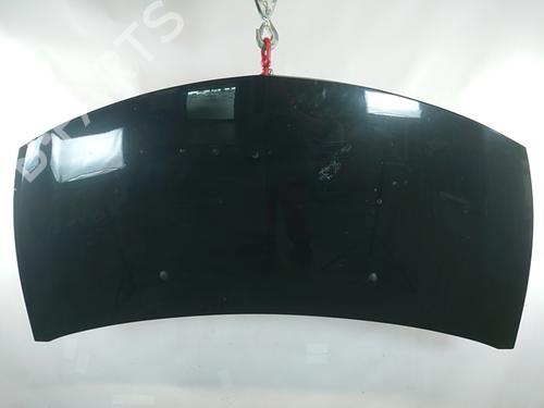 Used Hood RENAULT CLIO III (BR0/1, CR0/1) 1.2 16V (BR02, BR0J, BR11, CR02, CR0J, CR11) (75 hp) 29162213
