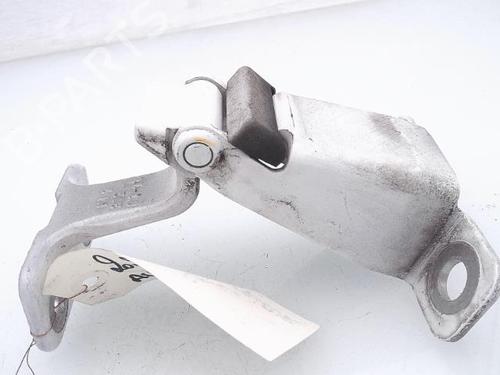Used Hinge/Door check strap RENAULT KANGOO / GRAND KANGOO II (KW0/1_) 1.5 dCi 90 (KW05, KW08, KW0G, KW11) (90 hp) 25364152