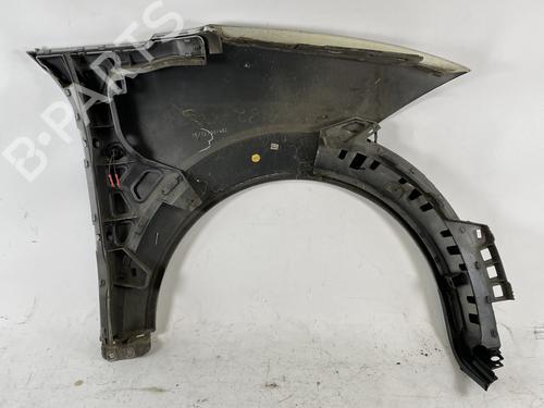 Left front fenders AUDI A2 (8Z0) 1.4 | BP25363748C41 