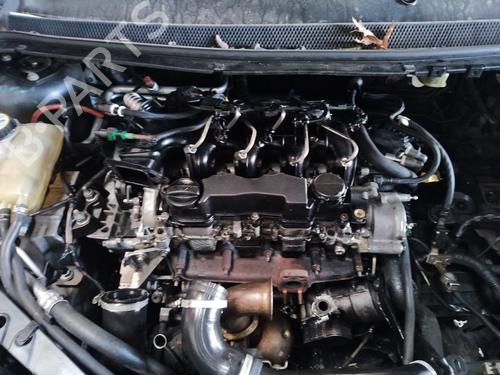Front left seatbelt FORD FOCUS II Turnier (DA_, FFS, DS) 1.6 TDCi | BP29614201I26 - Image 10