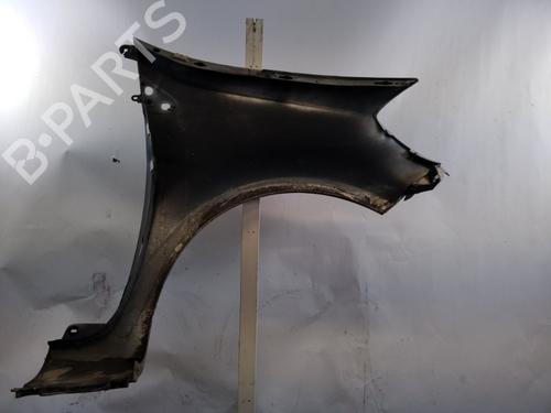 Left front fenders RENAULT CLIO III (BR0/1, CR0/1) 1.5 dCi (C/BR0G, C/BR1G) | BP25360477C41