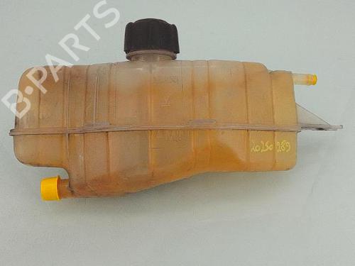 Expansion tank RENAULT CLIO III (BR0/1, CR0/1) 1.2 16V (BR02, BR0J, BR11, CR02, CR0J, CR11) | BP29178570C120 