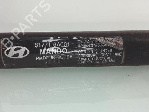 Tailgate lift support HYUNDAI TRAJET (FO) 2.0 CRDi | BP25359819C138 