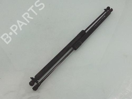 Tailgate lift support RENAULT SCÉNIC III (JZ0/1_) 1.5 dCi (JZ02, JZ0R) 904500004R