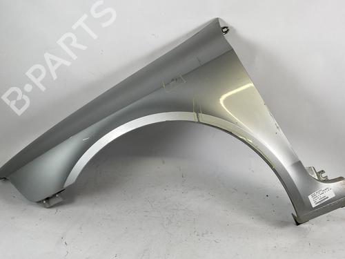 Left front fenders RENAULT LAGUNA II (BG0/1_) 1.9 dCi (BG1A, BG1W, BG0G) | BP25367678C41 