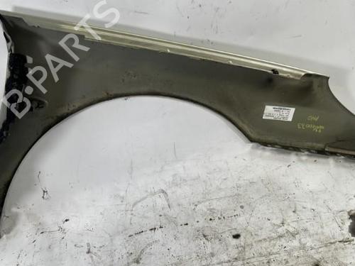 Left front fenders PEUGEOT 407 (6D_) 1.6 HDi 110 (6D9HZC, 6D9HYC) | BP25357059C41 
