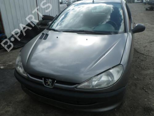 Display monitor PEUGEOT 206 Hatchback (2A/C) 1.1 i | BP25365188C48 