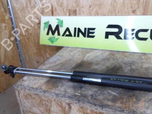 Tailgate lift support SUZUKI SWIFT III (MZ, EZ) 1.3 (RS413, ZC11S) | BP25367737C138 