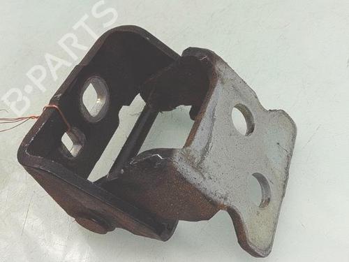 hingedoor-check-strap-peugeot-207-wa_-wc_-2006-2007-2008-2009-2010-2011-2012-2013-2014-2015-31330797 main image