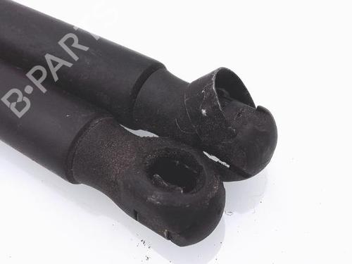 Gassdemper Bakluke RENAULT SCÉNIC II (JM0/1_) 1.5 dCi (JM02, JM13) (101 hp) 25366577