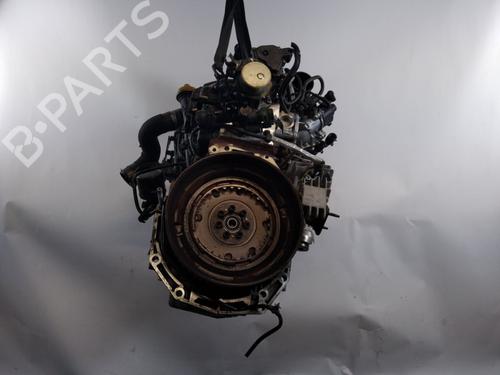 Engine RENAULT SCÉNIC III (JZ0/1_) 1.5 dCi | BP25368724M1 