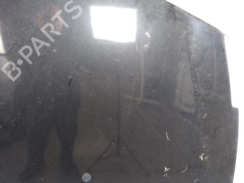 Hood RENAULT CLIO III (BR0/1, CR0/1) 1.5 dCi (C/BR0G, C/BR1G) | BP25371248C1 