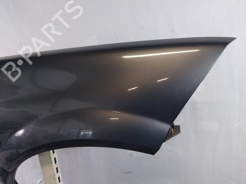 Right front fenders RENAULT MEGANE II (BM0/1_, CM0/1_) 1.6 16V | BP26027652C42 