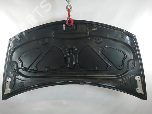 Hood RENAULT CLIO III (BR0/1, CR0/1) 1.2 16V (BR02, BR0J, BR11, CR02, CR0J, CR11) | BP29162213C1 