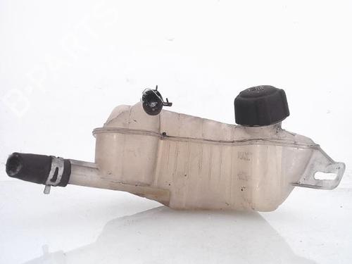 Used Expansion tank RENAULT SCÉNIC II (JM0/1_) 1.5 dCi (JM1E, JM16) (106 hp) 25353005