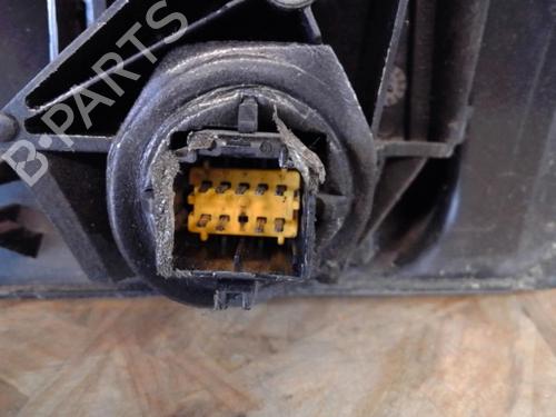 Used Right mirror RENAULT MEGANE II (BM0/1_, CM0/1_) 1.9 dCi (BM0G, CM0G) (120 hp) 25373228