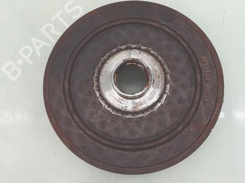 Pulley RENAULT MEGANE III Hatchback (BZ0/1_, B3_) 1.9 dCi (BZ0N, BZ0J) | BP30378811M122