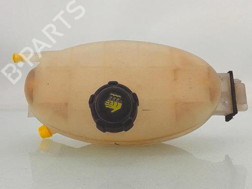 Used Expansion tank RENAULT TRAFIC II Bus (JL) 2.0 dCi 90 (JL00, JL01, JL0H, JL0M, JL0P, JL0S) (90 hp) 29044986