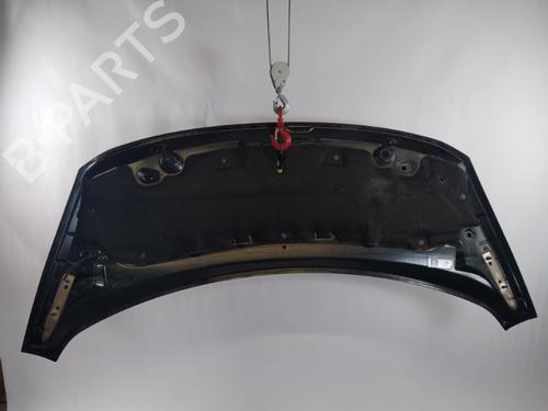 Hood PEUGEOT 3008 I MPV (0U_) 2.0 HDi | BP25353819C1